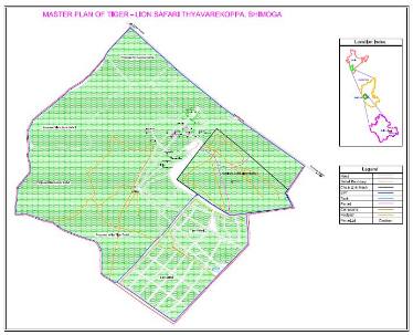 Mapping Of Lion Safari